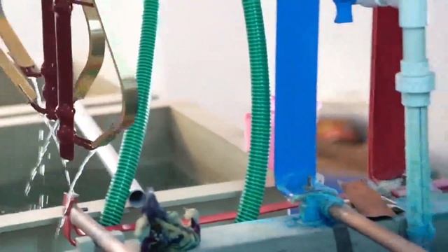 Chrome Process смотреть онлайн