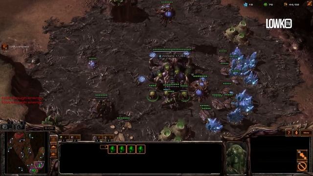 StarCraft 2 Live Game: PROXY STARGATE?! (Commentary & Analysis) смотреть онлайн