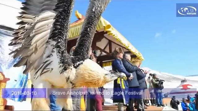 Brave Aisholpan invited to Eagle Festival смотреть онлайн