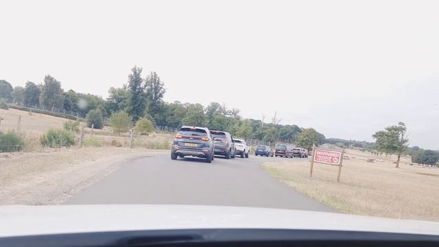 The UK Woburn Safari Park- A day excursion - Episode 1 смотреть онлайн