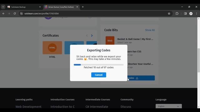 Sololearn Backup Extension смотреть онлайн
