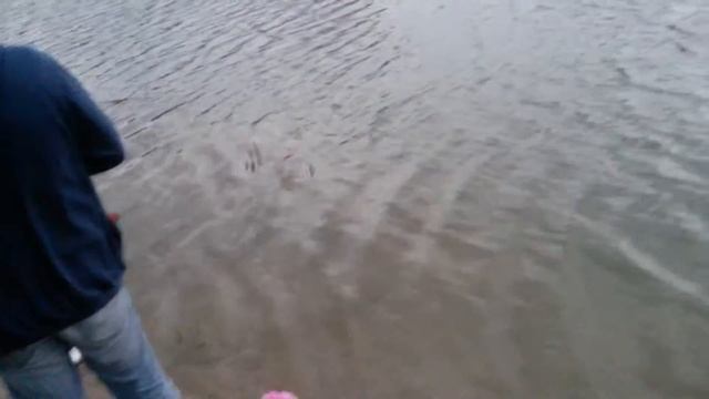 Третий Запуск плавающих фонариков. ..на пруду "Южный " смотреть онлайн