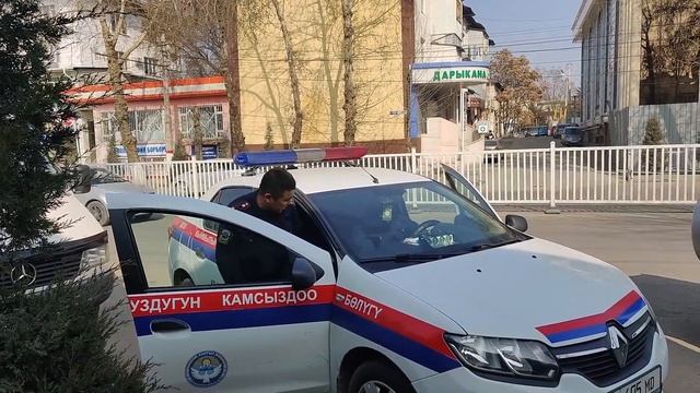 Мыйзамды сыйлабаган орун басар. SAFARI смотреть онлайн