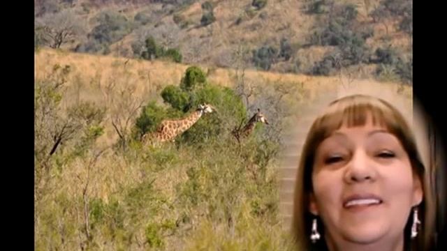 South African Safari -- Warthogs & Giraffes [Boomer and Senior Travel TV #58] смотреть онлайн