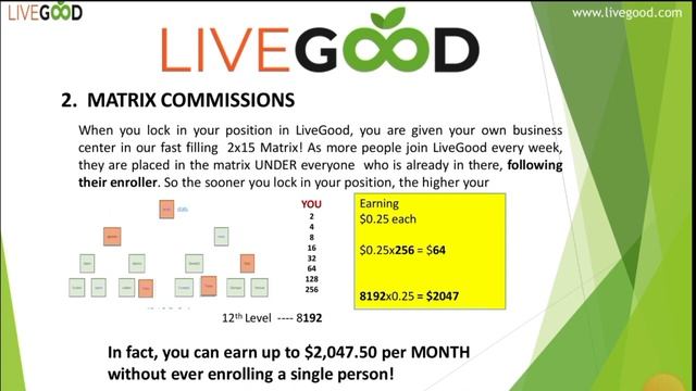 LIVEGOOD презентация на хинди ( индийском языке) Ливгуд. Hintçe sunum Livegood. смотреть онлайн