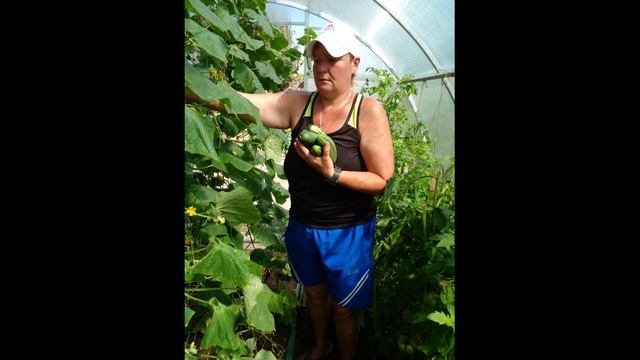 Бударинский ПНИ От семени к ростку смотреть онлайн