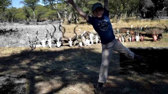 AFRICAN FAMILY SAFARI смотреть онлайн