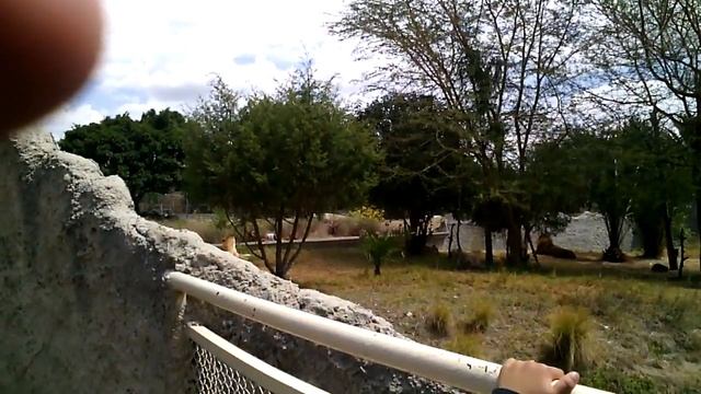 Africam safari 9 смотреть онлайн