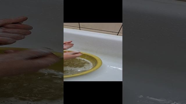 мы моем сабаку смотреть онлайн