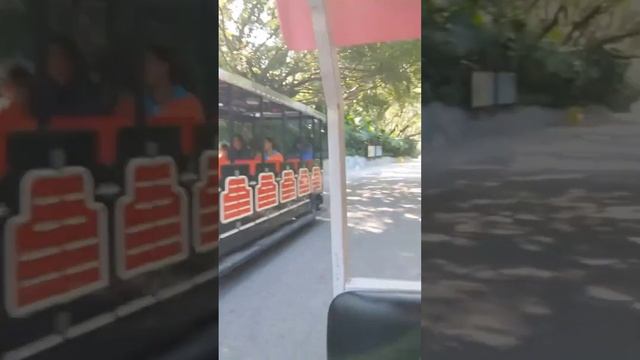 SAFARI PARK SHENZHEN | Inday Kunyang смотреть онлайн