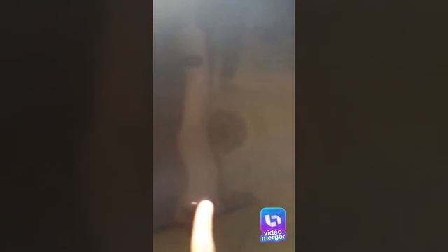Продаю свою машину 2 смотреть онлайн