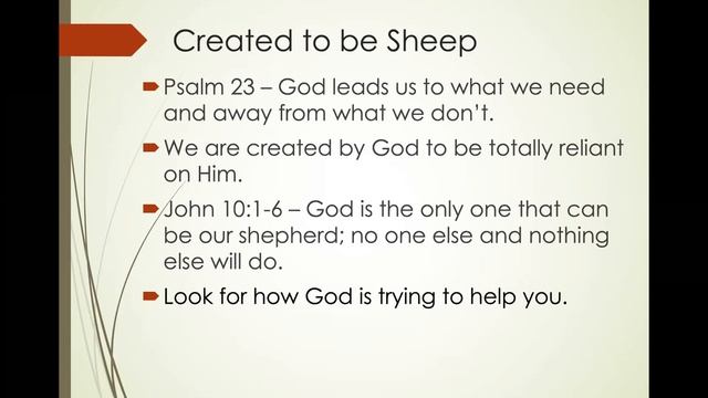 Brave Sheep, Courageous Shepherds - December 6, 2020 смотреть онлайн