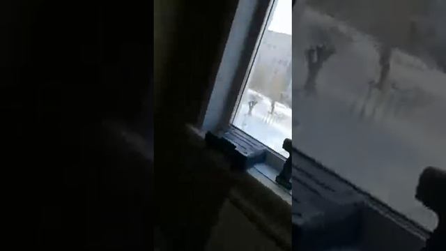 ВХОДНАЯ И МЕЖКОМНАТНЫЕ ДВЕРИ смотреть онлайн