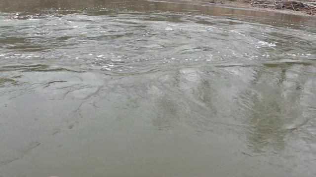 Large Steelhead Caught In Rocky River Using Kumbo Mermaid Tail In The Rains!! смотреть онлайн