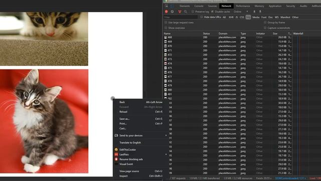 Native Lazy Loading in Chrome: Kitten Edition смотреть онлайн