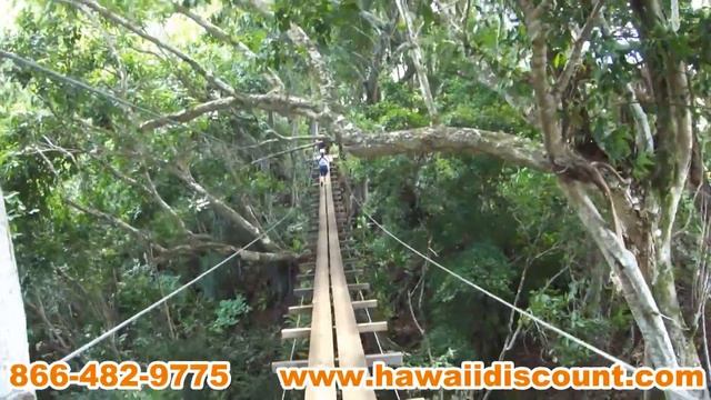 Kipu Zipline Safari Outfitters Kauai Hawaii Discount смотреть онлайн