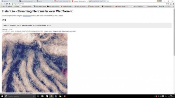 WebTorrent - Client Browser
