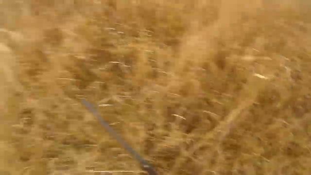 Охота на зайца 18.12.2021 в Ростовской области смотреть онлайн