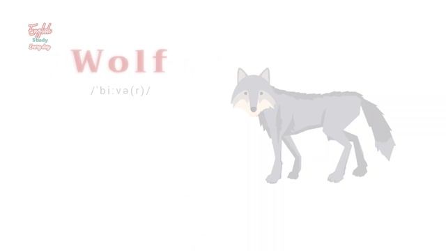 Wild Animals Flashcards - Learn English Vocabulary With Pictures - English For Kids | EngKids