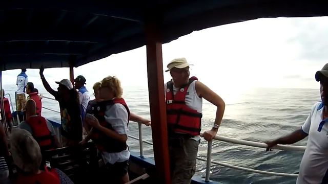 Whale safari in Galle, Sri Lanka - Luba Travel 2014-11-22 смотреть онлайн