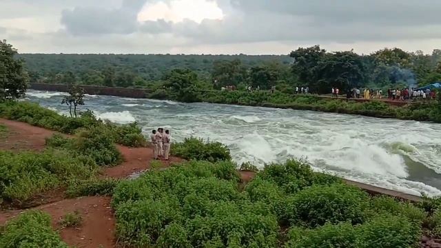 Bhopal waterfall halali Dam overflow live 2019 смотреть онлайн