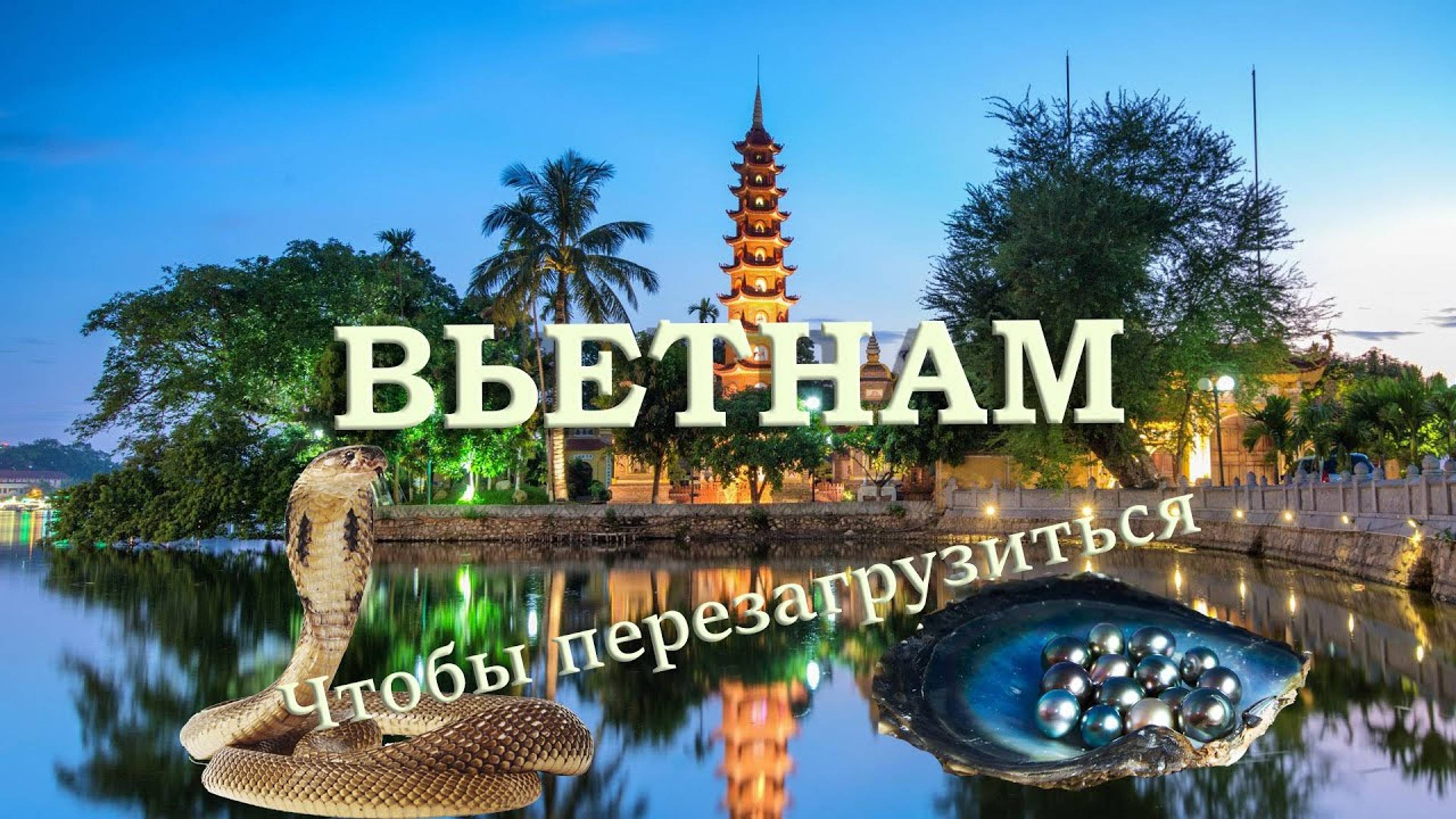 Вьетнам. Ханой обзор. Учимся переходить дорогу. Железная дорога у домов. Едим змею кобру. смотреть онлайн