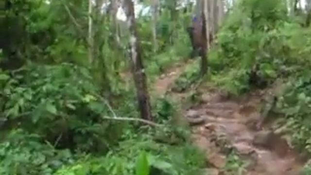 Ko Chang: Elephant Trekking 1 смотреть онлайн