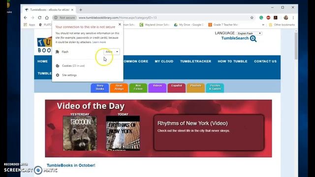 Managing Flash and Pop Up in Google Chrome смотреть онлайн