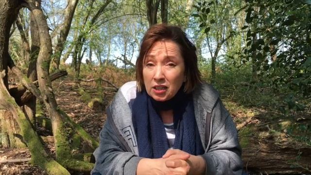 Forest tales: Storyteller Emma retelling The Brave Tailor in the forest, for children. смотреть онлайн