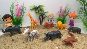 Safari Animals toys for Kids! Learn Safari Animal Names| Tiger Zebra Lion Giraffe| wild zoo animals