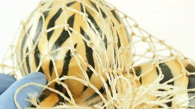 Capiz Large Balls Orbs Spheres Wild African Safari Giraffe Tiger Leopard Zebra смотреть онлайн