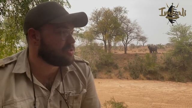 Watching the big five right from your deck смотреть онлайн