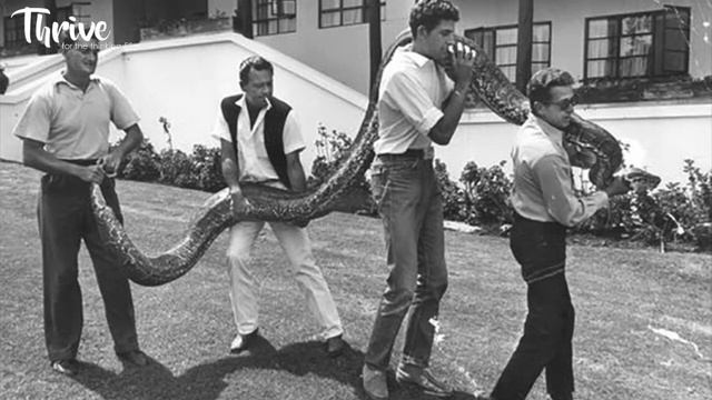 Mount Kenya Safari Club. The 1960s Club For The A-List Recapturing Past Glories. смотреть онлайн
