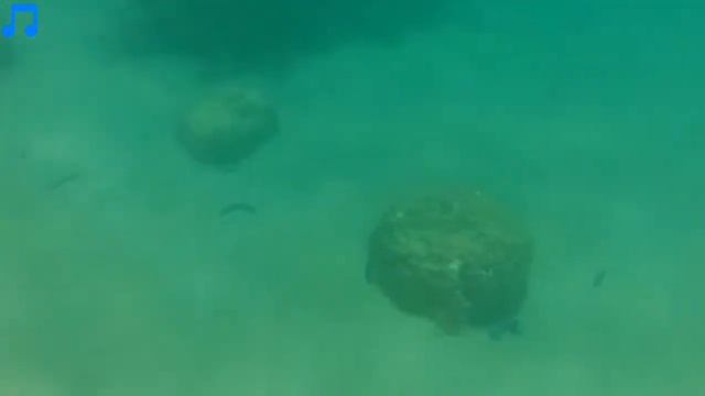 Akaso Brave 7 LE Underwater Footage With Mini Scuba Tank DiDeep