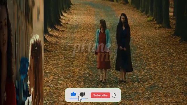 NEW COUPLE: Ginia & Amelia - EMOTIONAL LOVE STORY смотреть онлайн