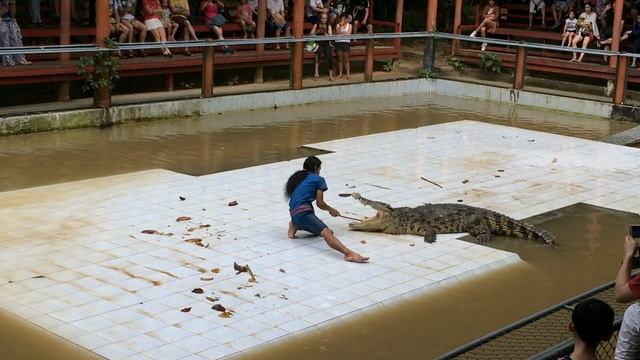 Namuang Safari Park-Koh Samui , Thailand смотреть онлайн