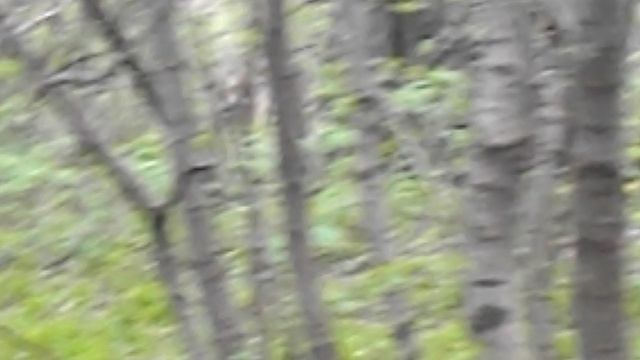 DSCN5308Кисловодск Санаторий ПИКЕТ , 2022 ГОДЫ