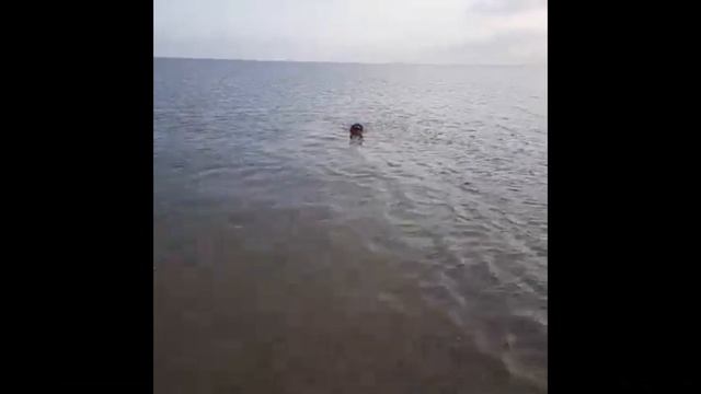 Facebook — Mozilla Firefox 2023 12 19 15 27 52 смотреть онлайн