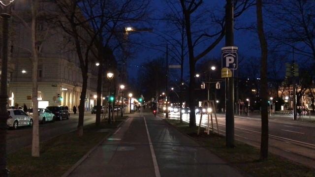 Walk in Vienna by Night: Kärntner Strasse, State Opera, Ringstraße, Johann Strauss Monum. смотреть онлайн