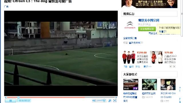 Youku Video Downloader For Chrome