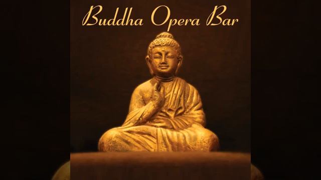 Adagio For String (Spirituale 2009) - Buddha Opera Bar смотреть онлайн