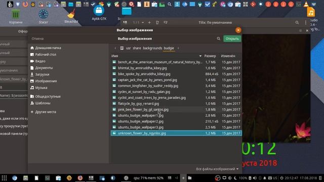 Ubuntu Budgie 18.04 Test Tilix Theme разработка смотреть онлайн