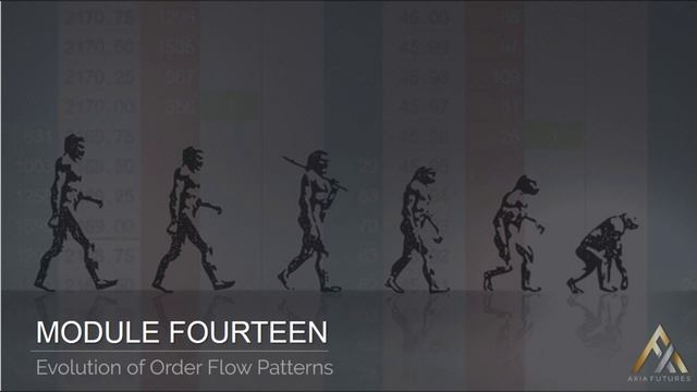 141. Module 14 –1 Evolution of Order Flow and Price Patterns смотреть онлайн