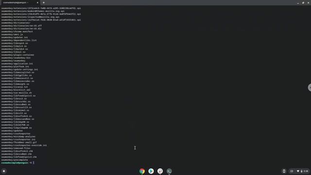 How to install the SeaMonkey Browser on a Chromebook смотреть онлайн