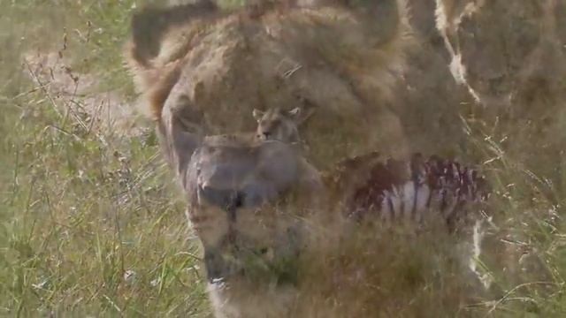 In Africa With Gap Adventures - Part 3 смотреть онлайн