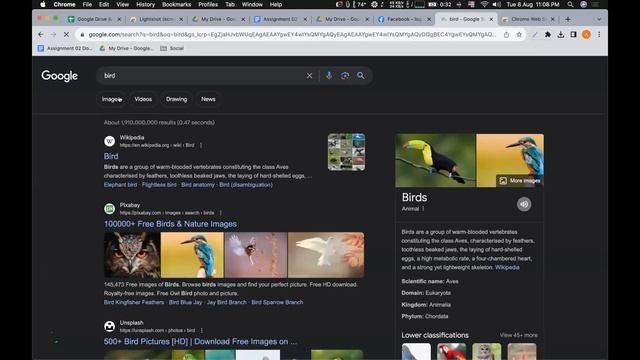 Freelancing environment setup (Tools, Apps & Browser) || Alamgir H Kobir смотреть онлайн