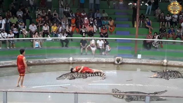 BANGKOK - SAFARI WORLD AND STREET VIEW (PART-3) || THAILAND || @romiovlogs смотреть онлайн