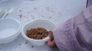 13.06.2015. Киров,Театральная площадь