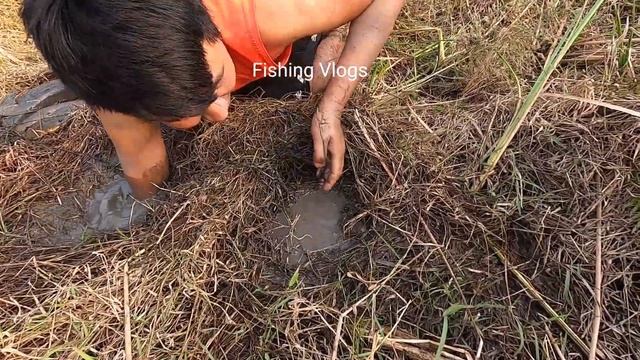 QUYEN FISHING162 A brave young man use his hand to catch a huge school of fish hiding in a deep hol смотреть онлайн