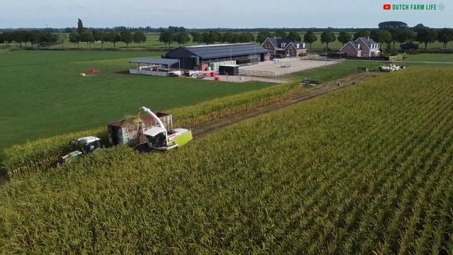 Mais hakselen 2022 | Maize silage 2022 | Fendt 724 | Claas Jaguar 870 | Maize harvest | Maisoogst смотреть онлайн